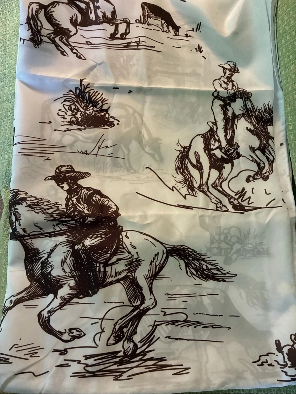 NWT  Western Cowboy Shower Curtain w/Hooks